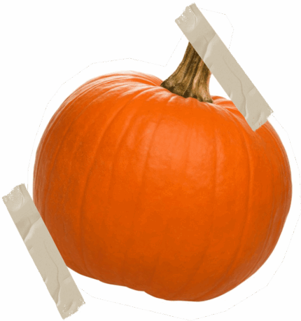 Organic Pumpkin