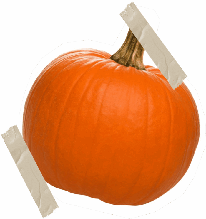 Organic  Pumpkin - Image 1